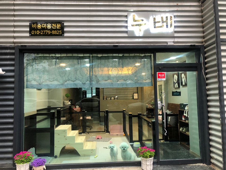 누베