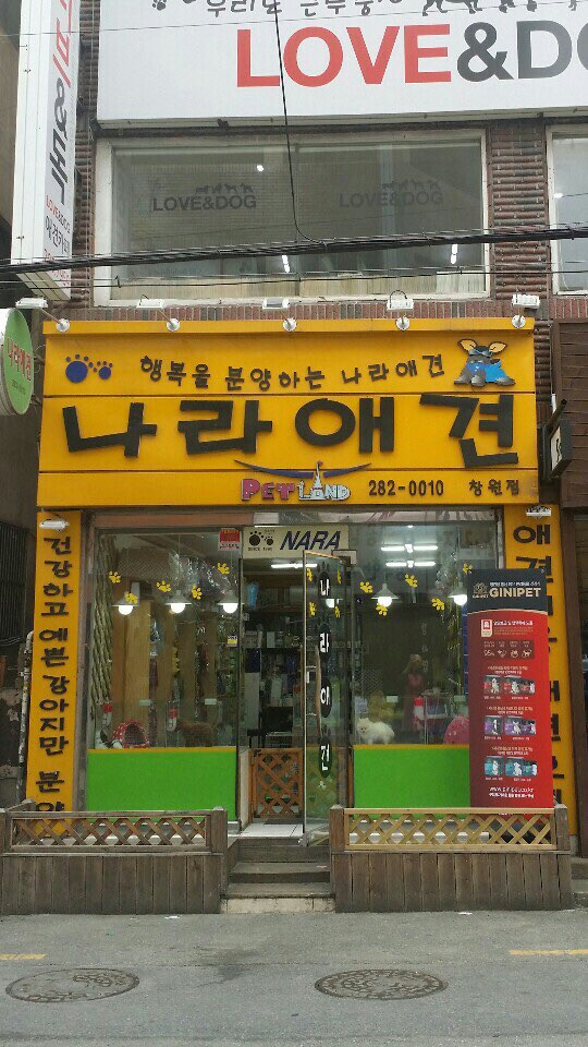 나라애견