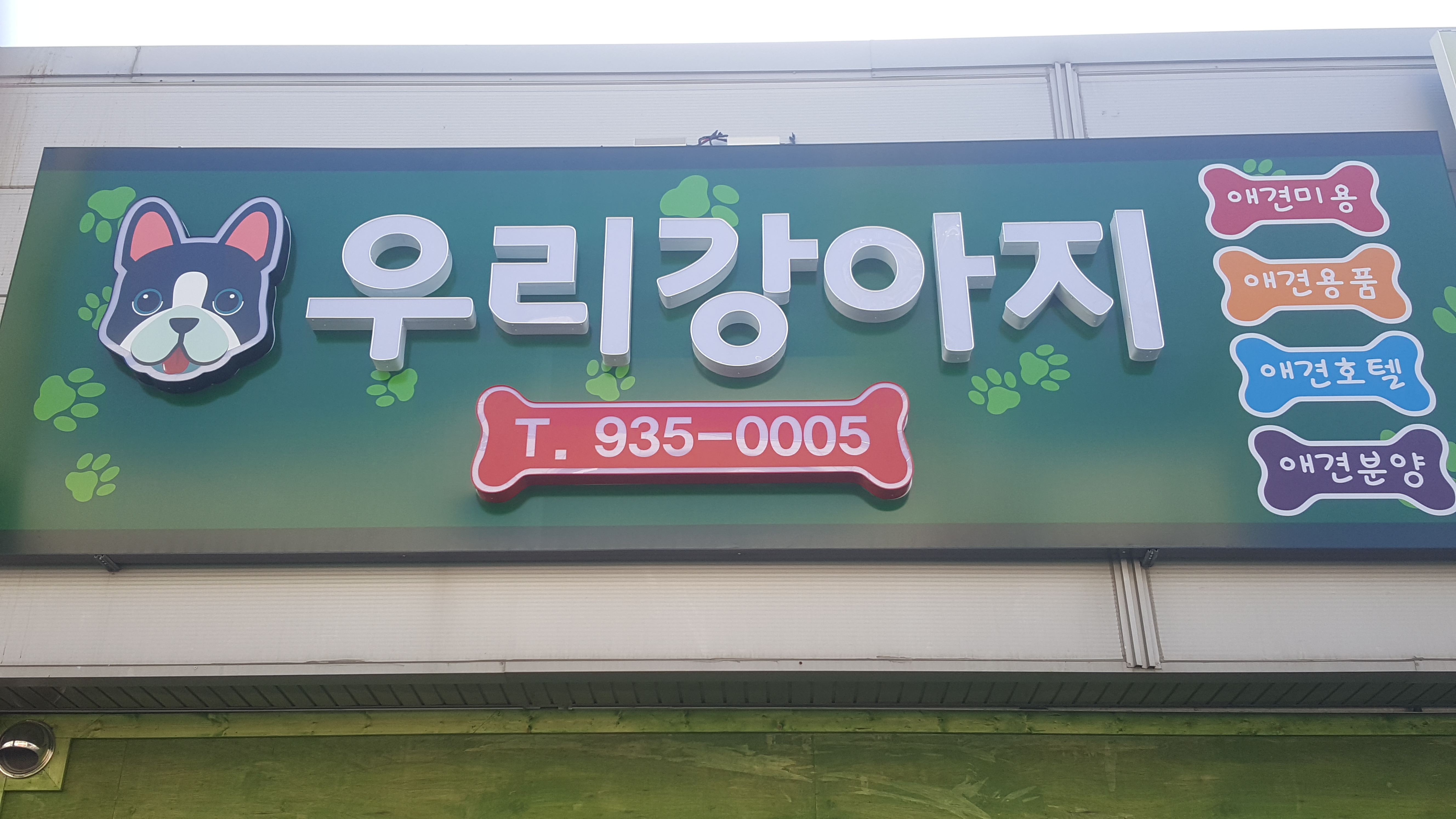 우리강아지