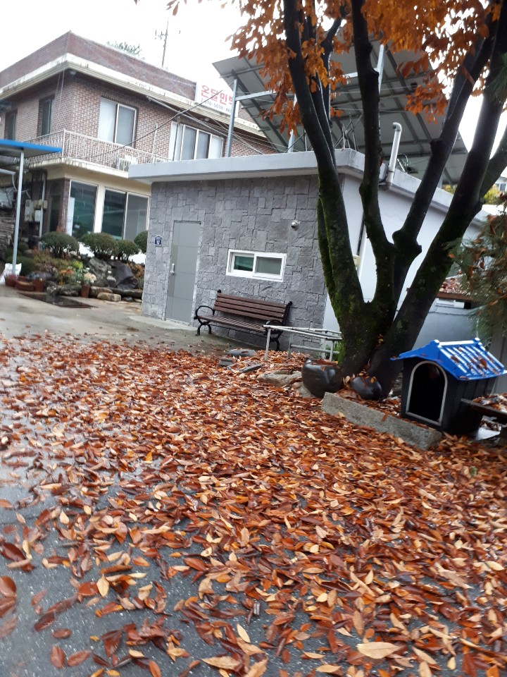 온달민박 이미지