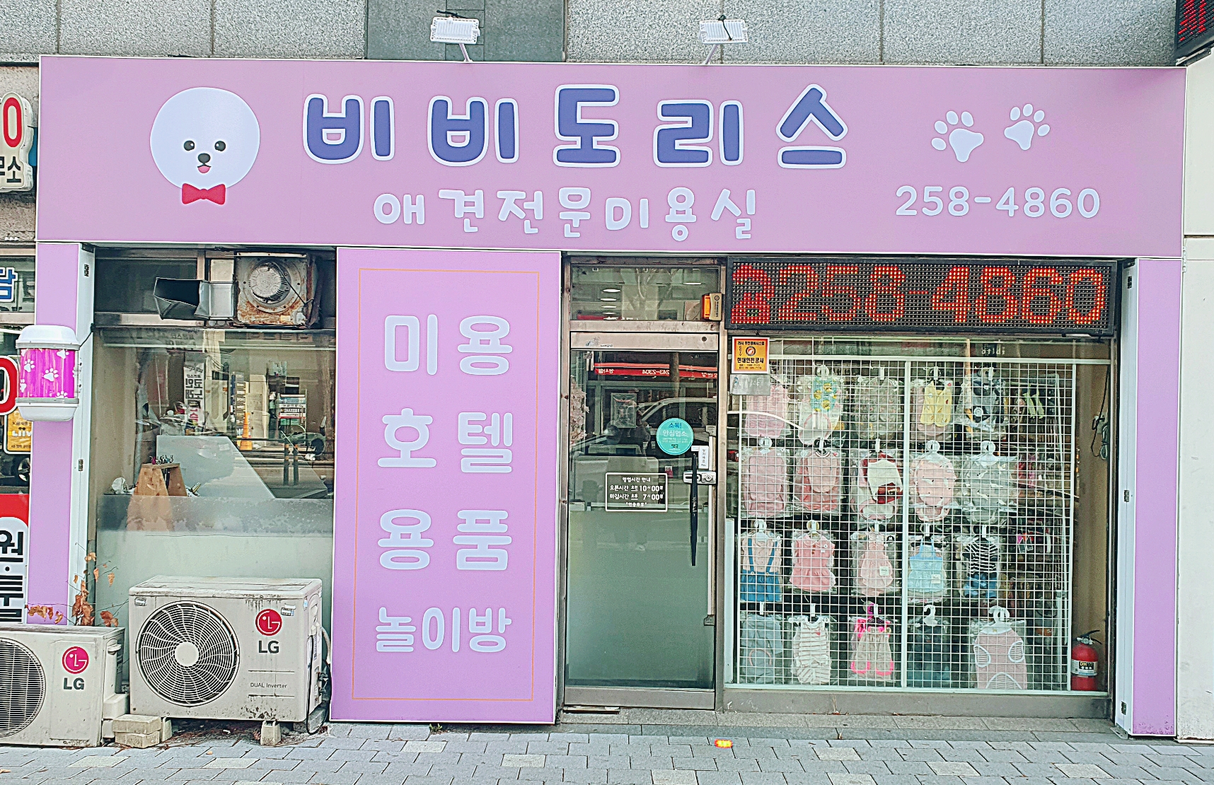 비비도리스 애견샵