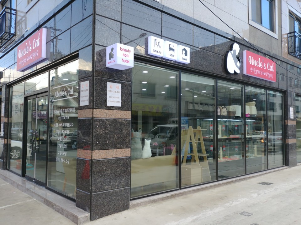 엉클스캣