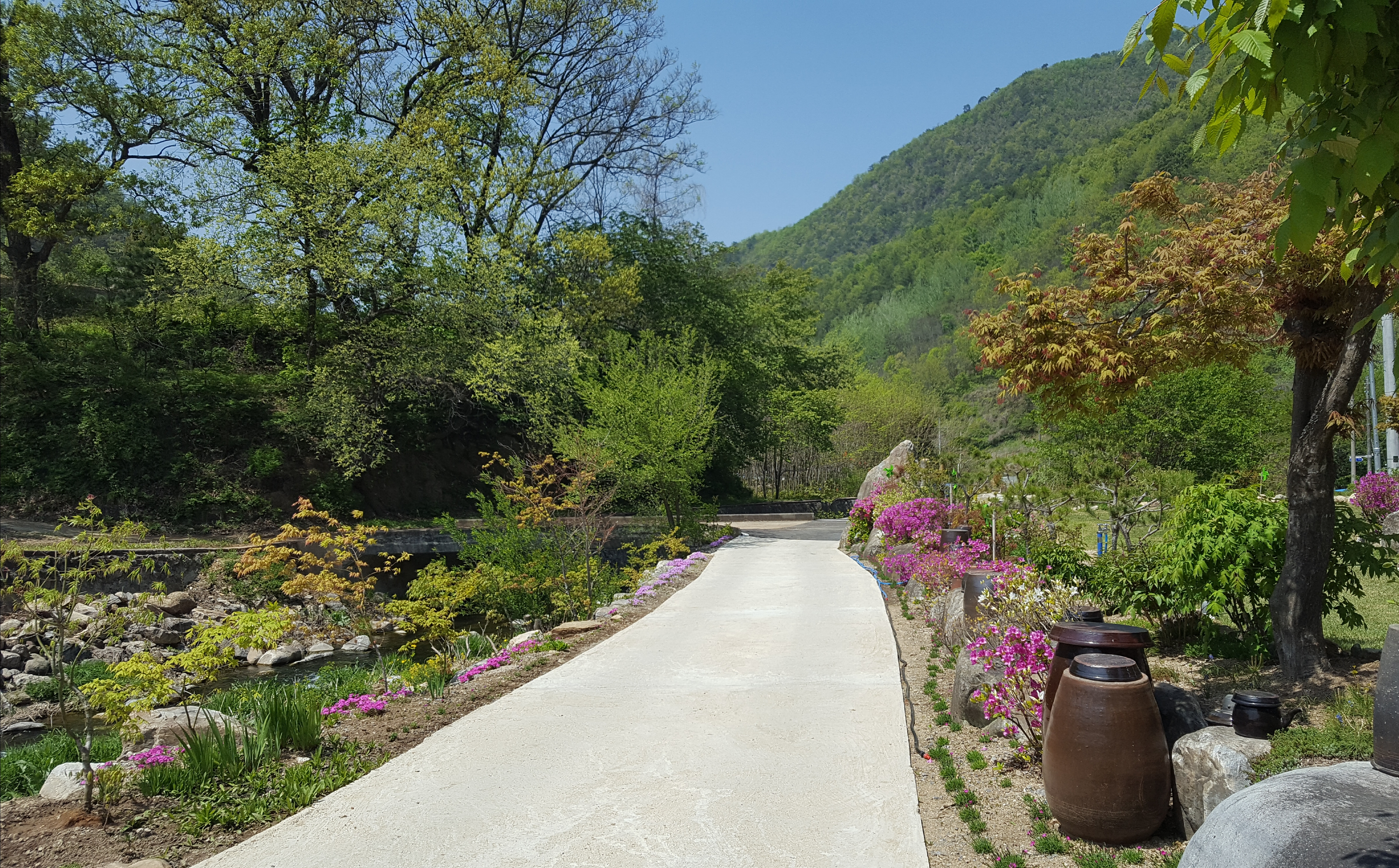 꽃뜨락단양펜션 이미지