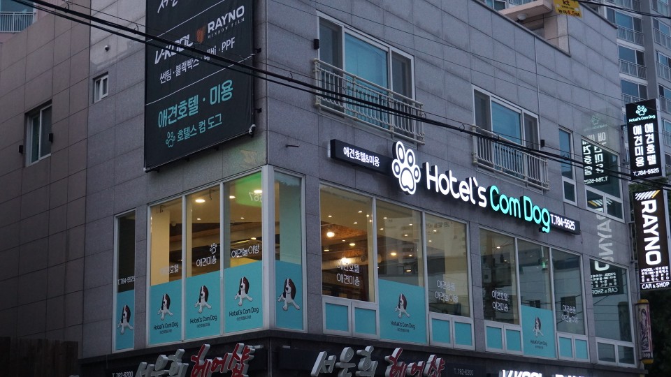 호텔스 컴도그