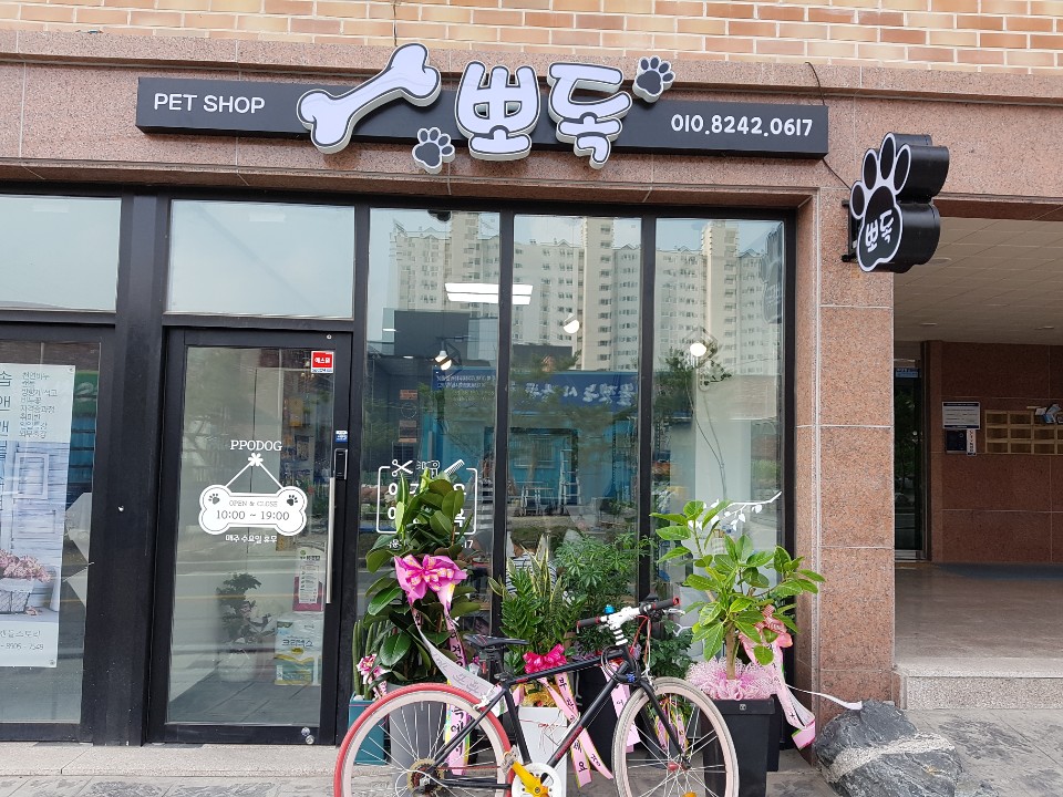 뽀독