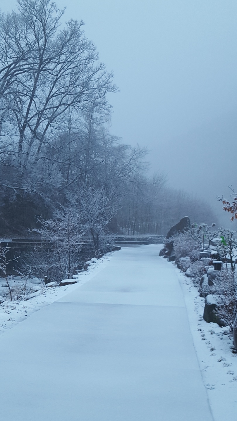 꽃뜨락단양펜션 이미지