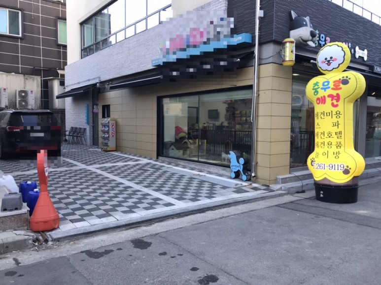 충무로애견