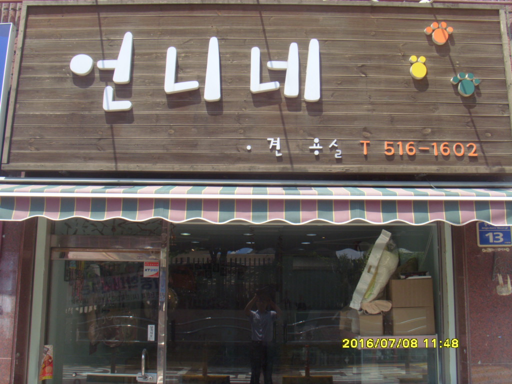 언니네 애견미용실