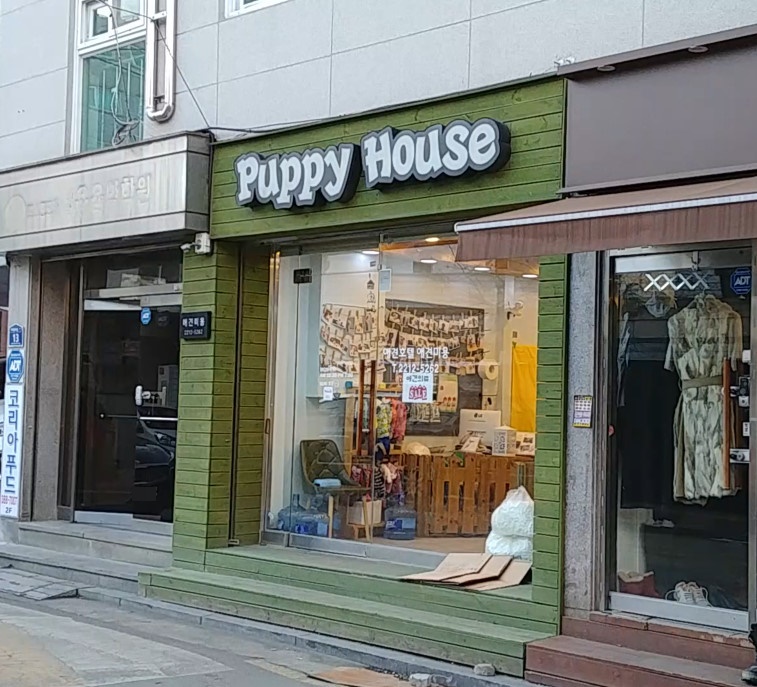 퍼피하우스