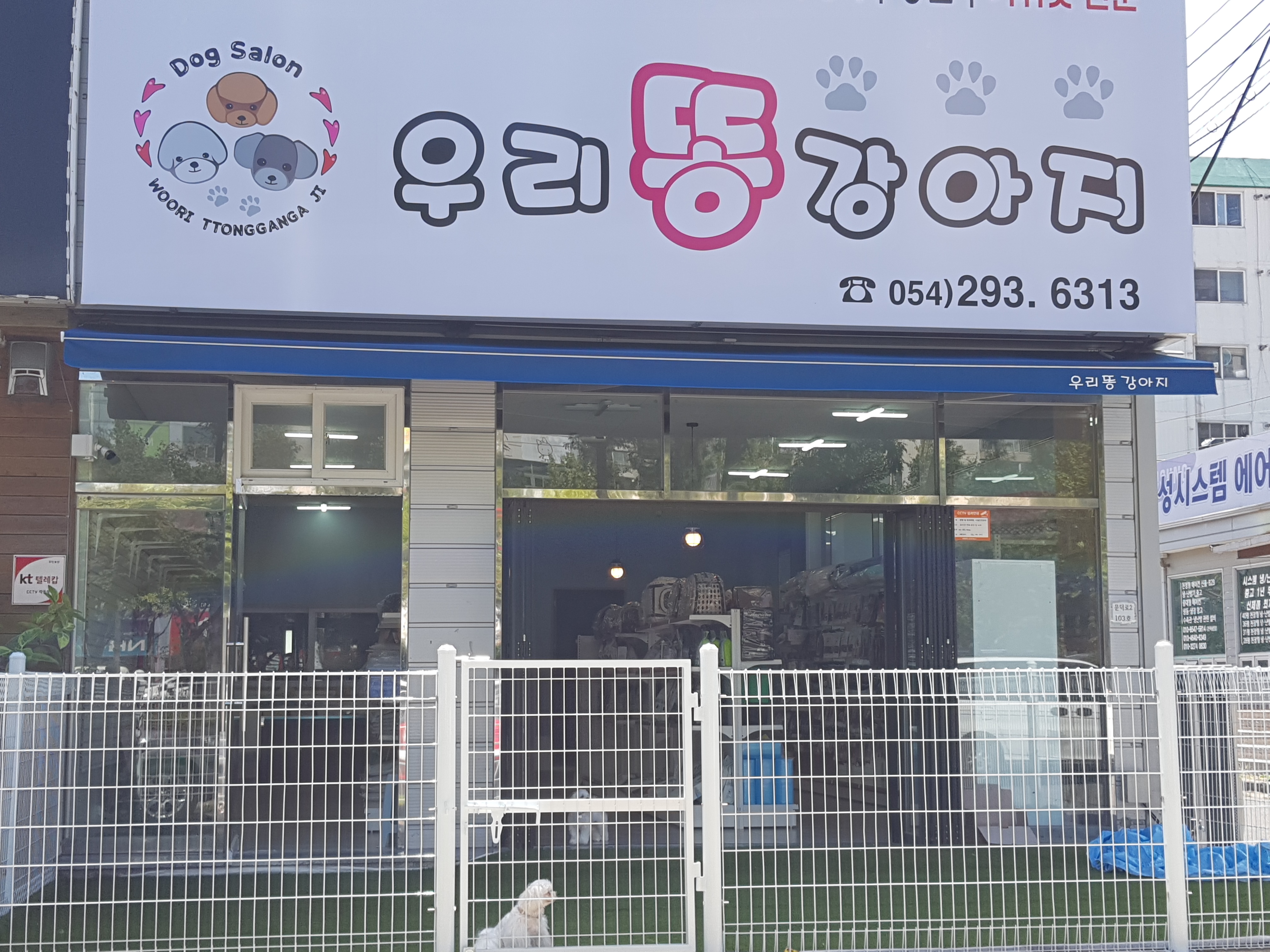 우리똥강아지