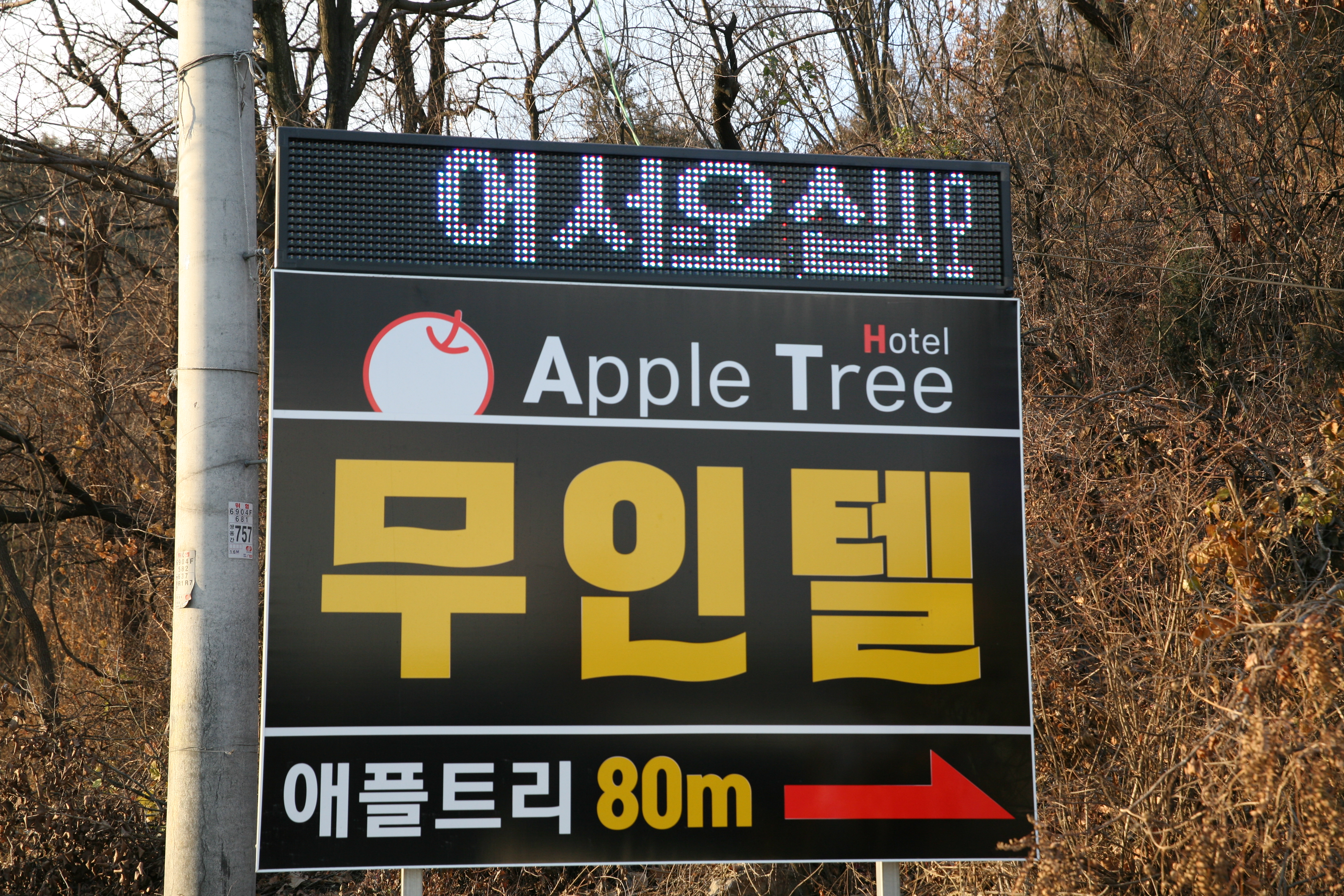 애플트리무인텔 이미지