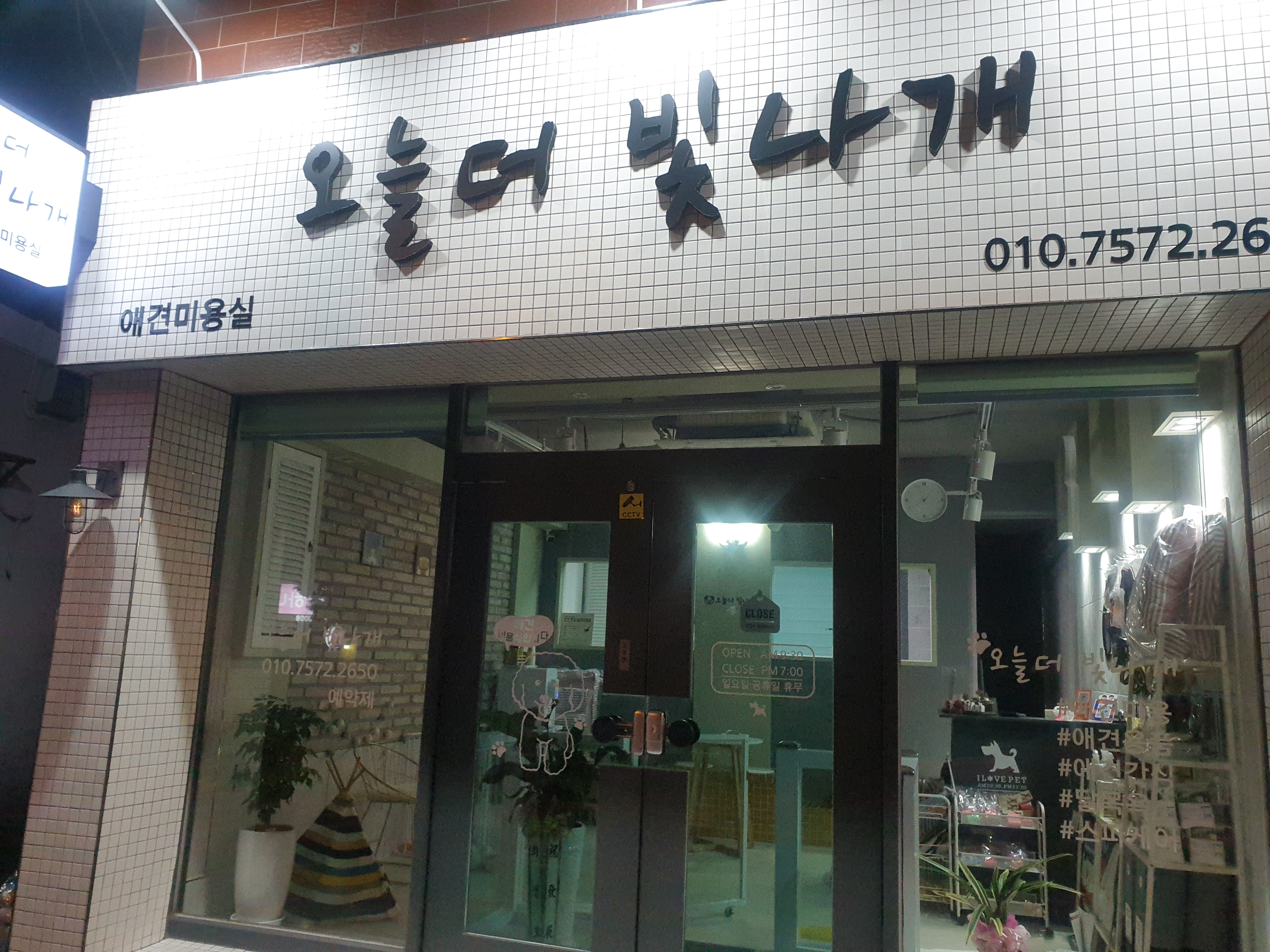 오늘더빛나개