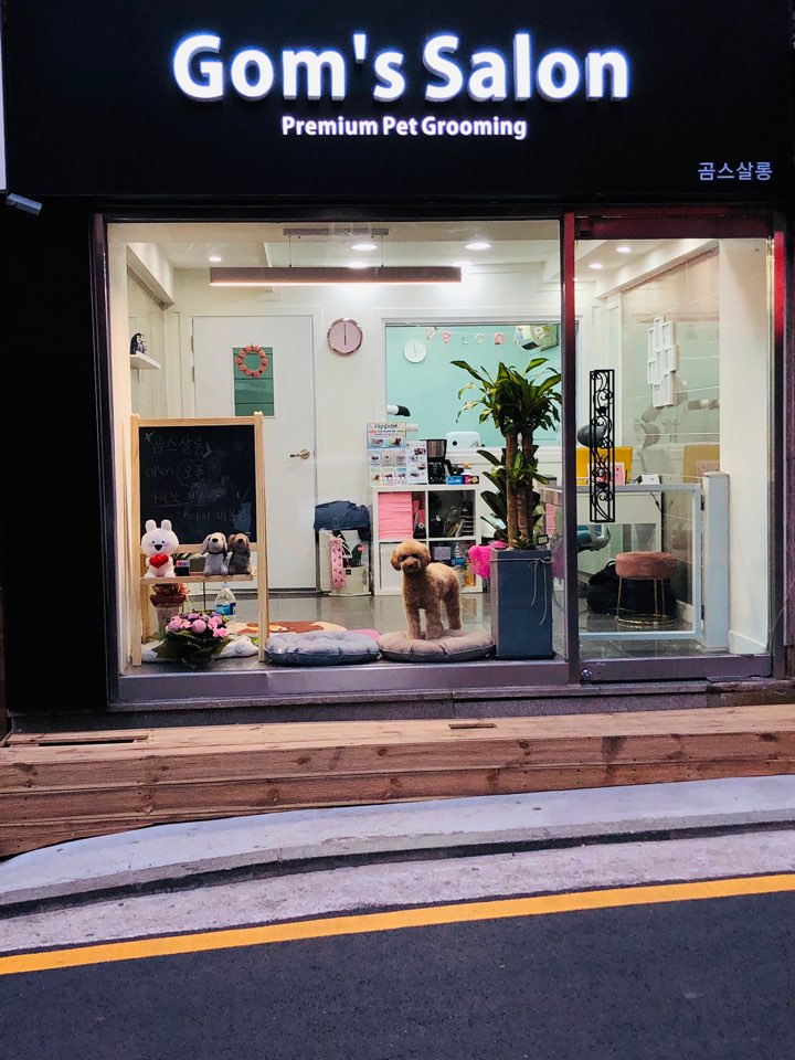 곰스살롱