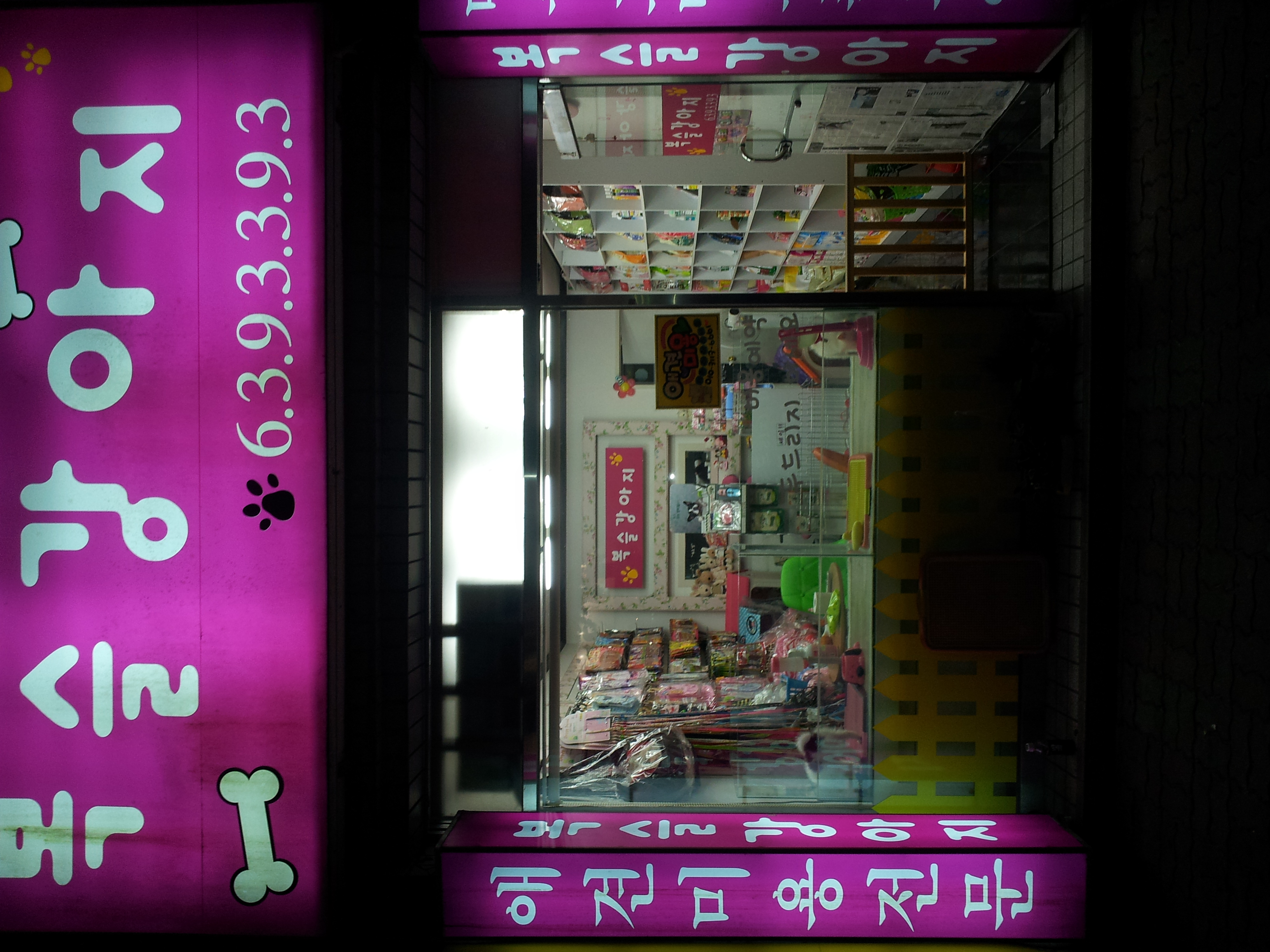 복슬 강아지