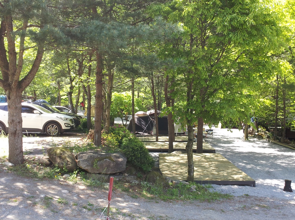 단양천동계곡캠핑장 그린농원 이미지