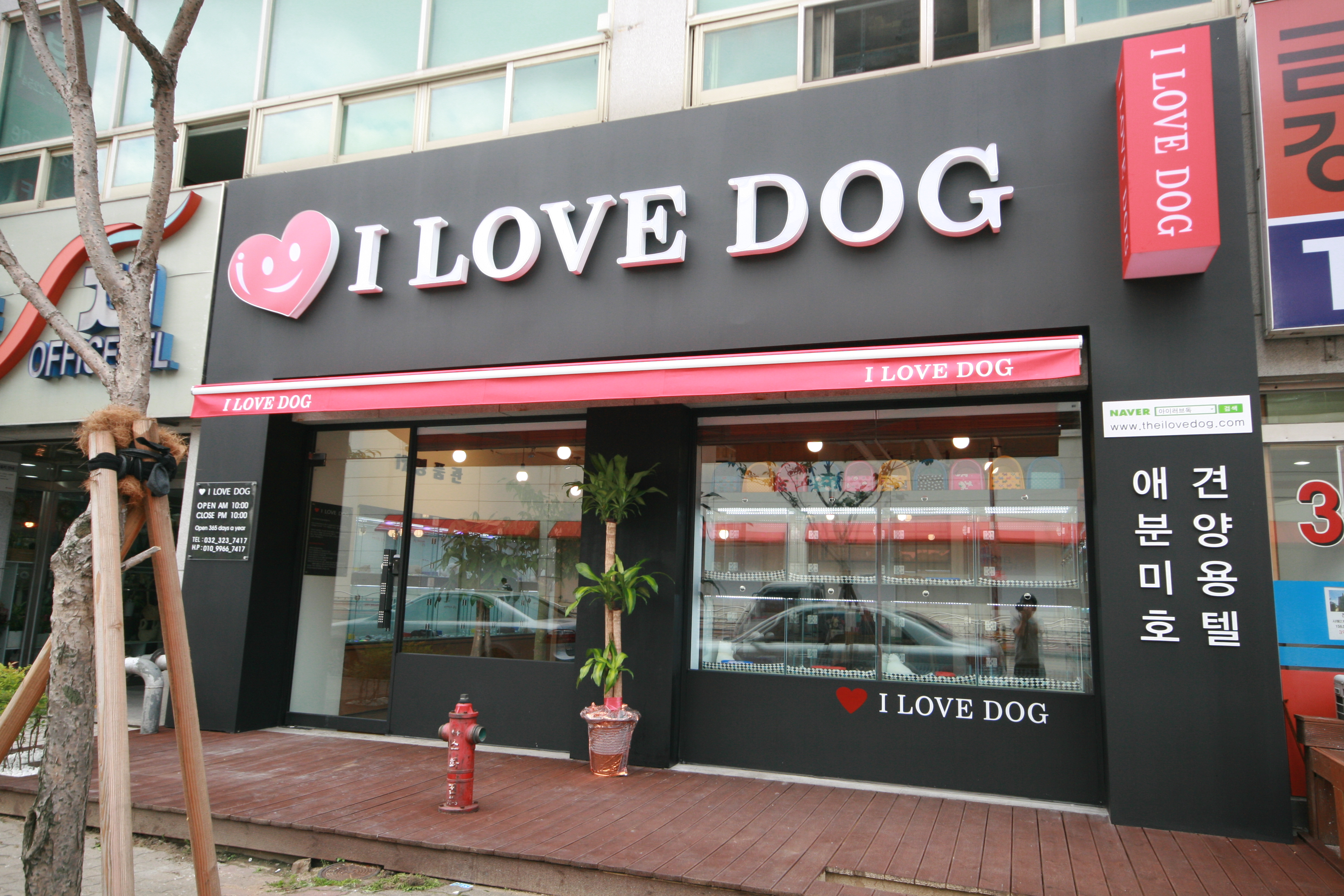 아이러브독 강아지 부천점