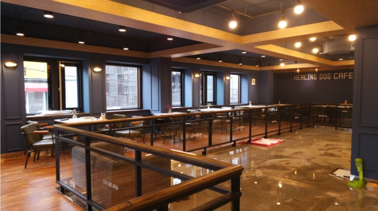 힐링독