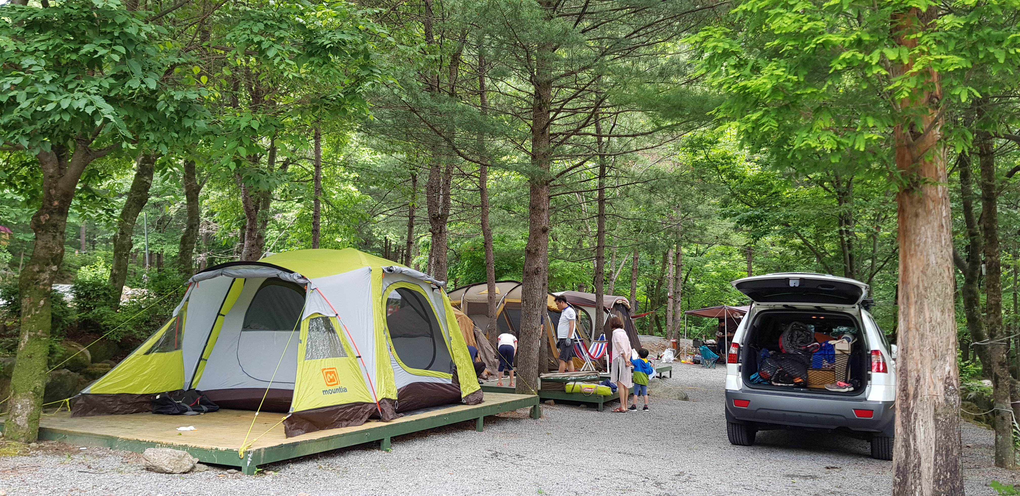 단양천동계곡캠핑장 그린농원 이미지
