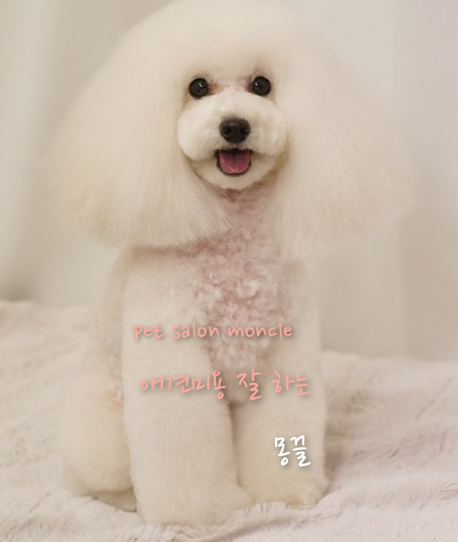 몽끌