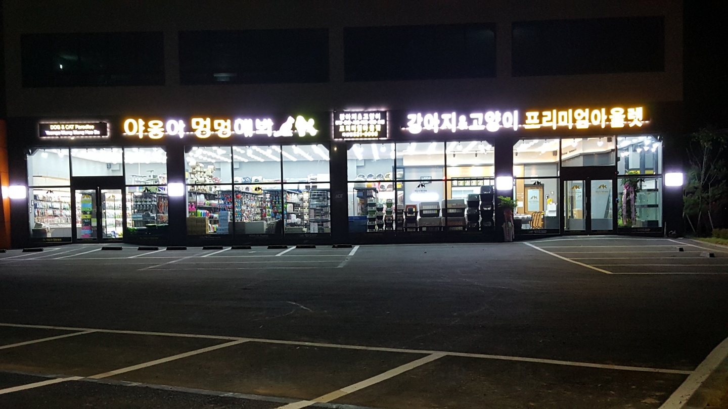 야옹아 멍멍해봐 아산점