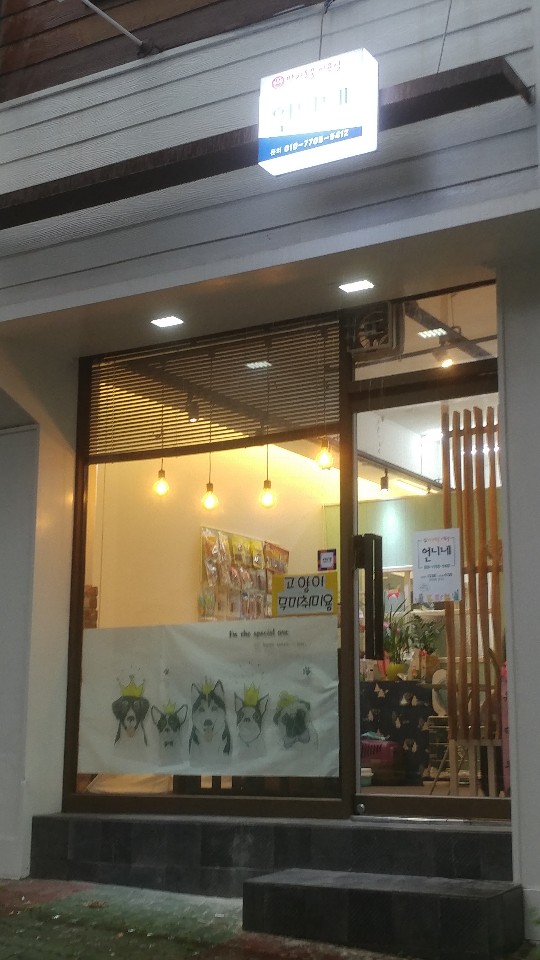 반려동물미용실 언니네