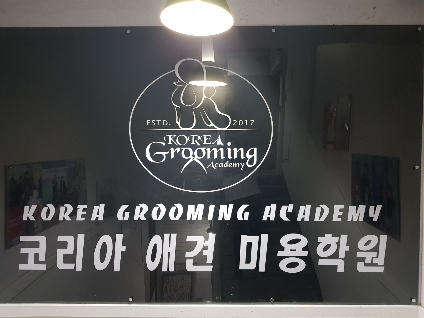 창원코리아애견미용학원