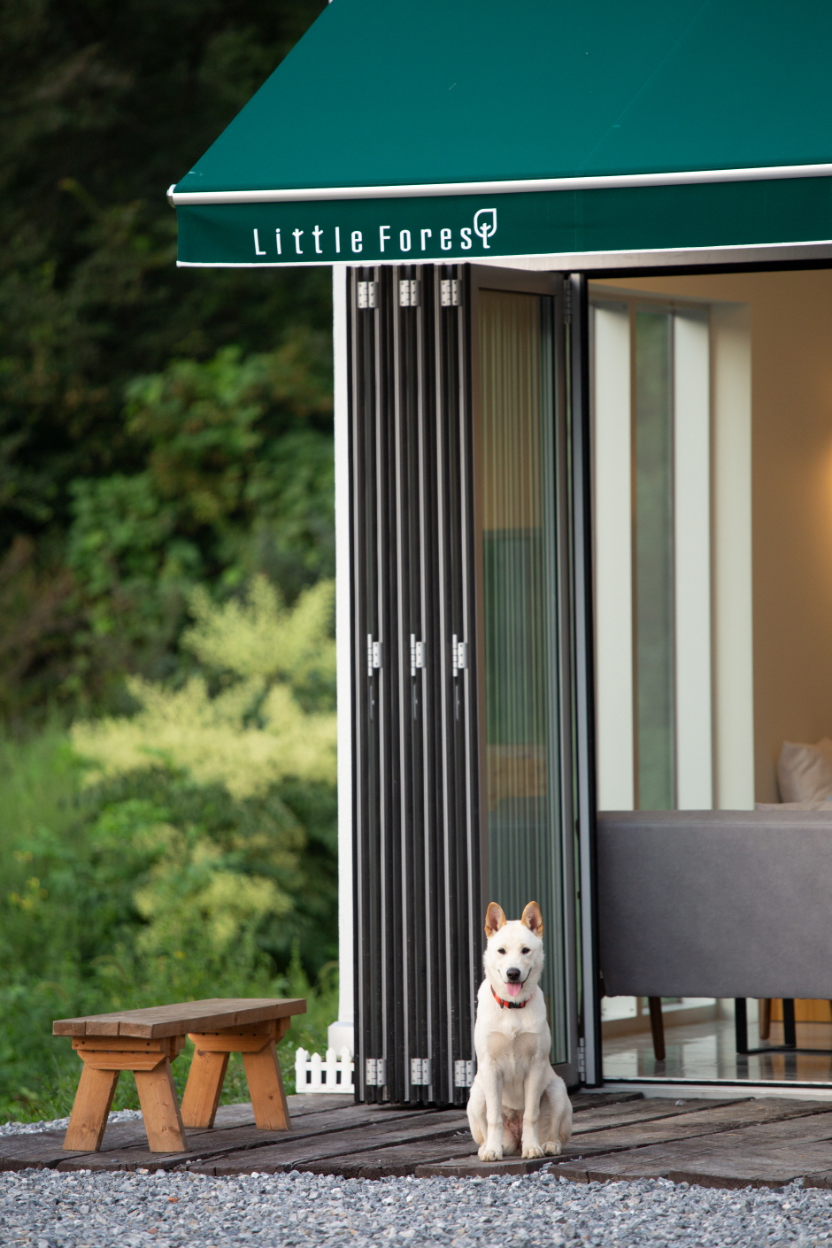 리틀포레스트 이미지