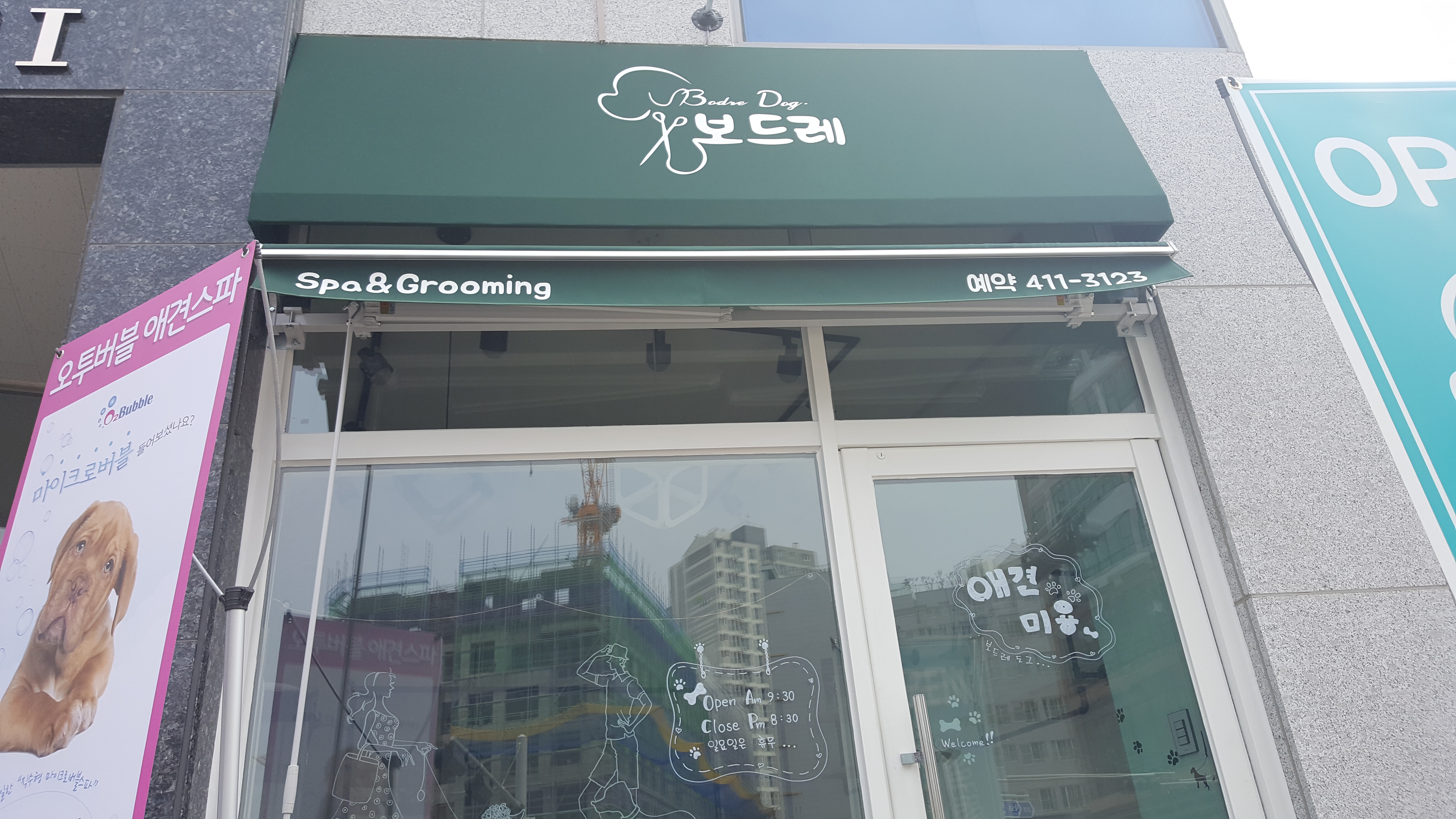 보드레도그
