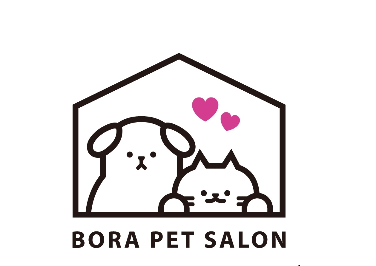 보라애견