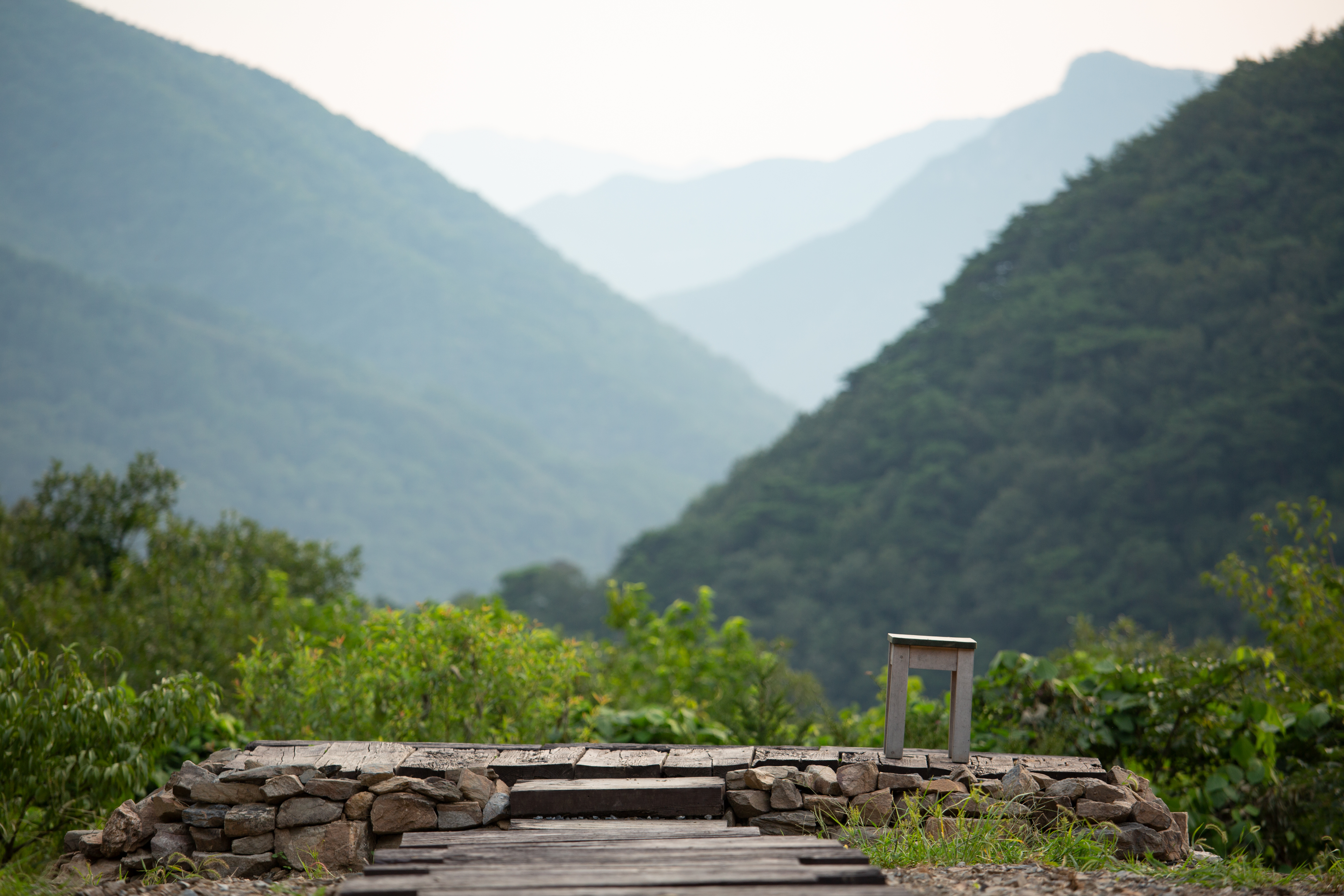 리틀포레스트 이미지