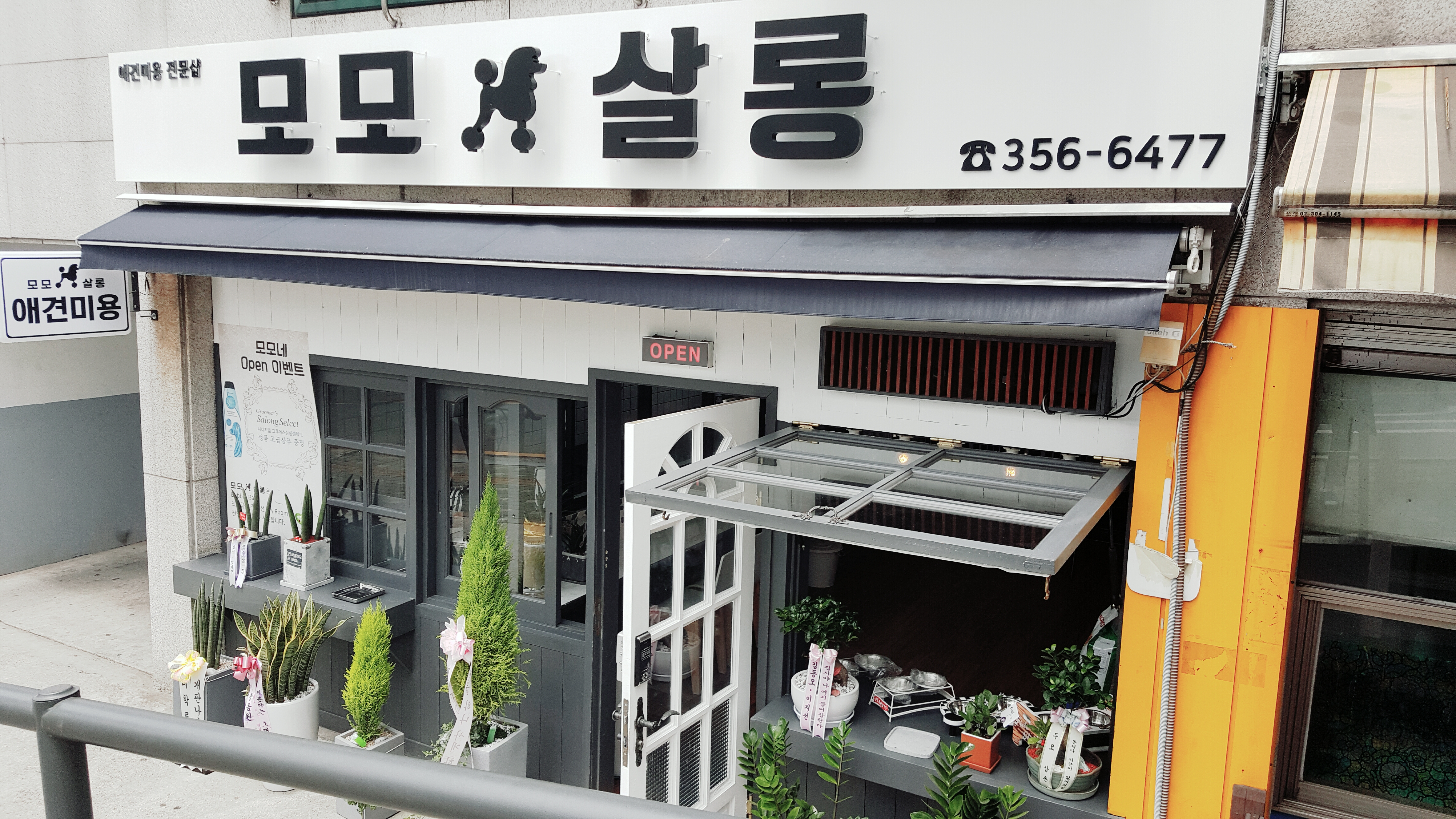 모모펫살롱