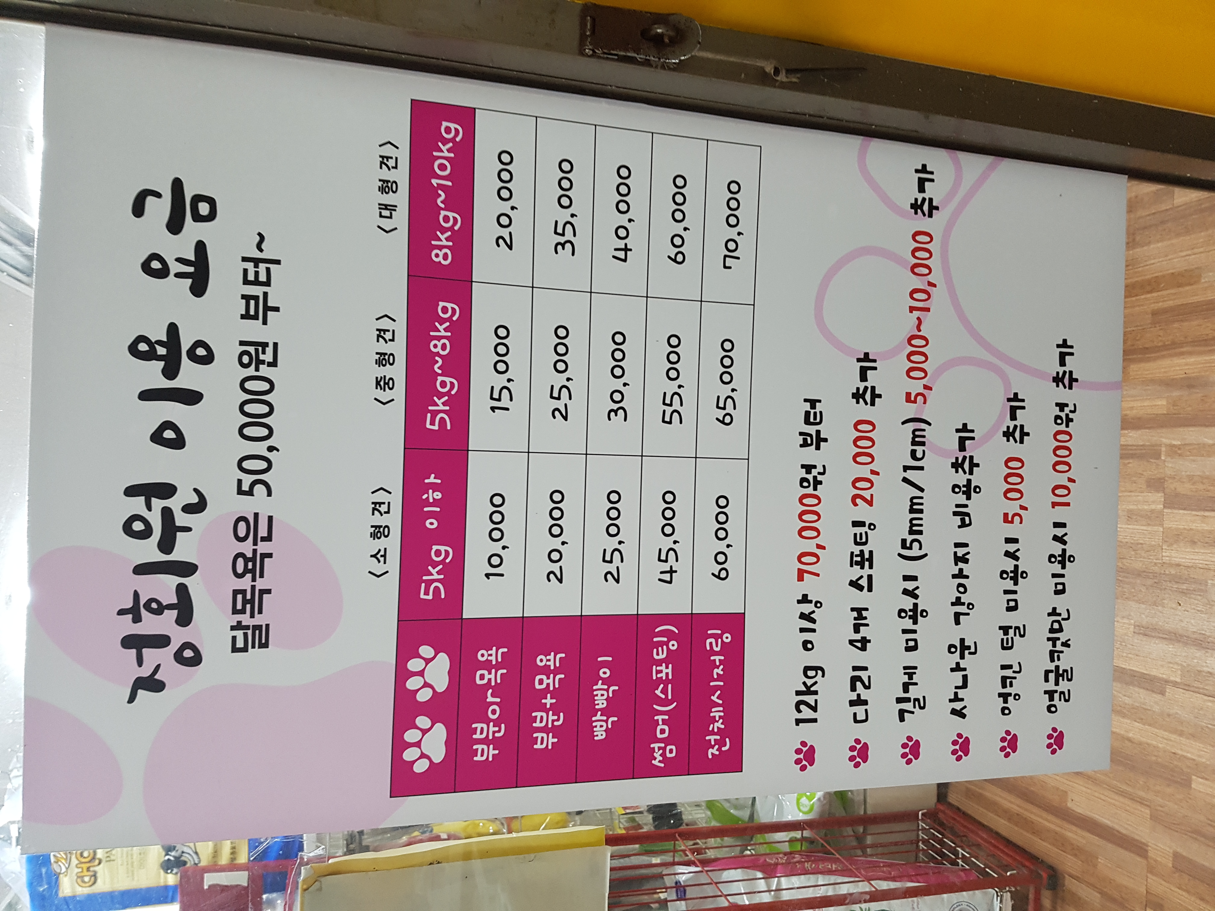 펫아울렛