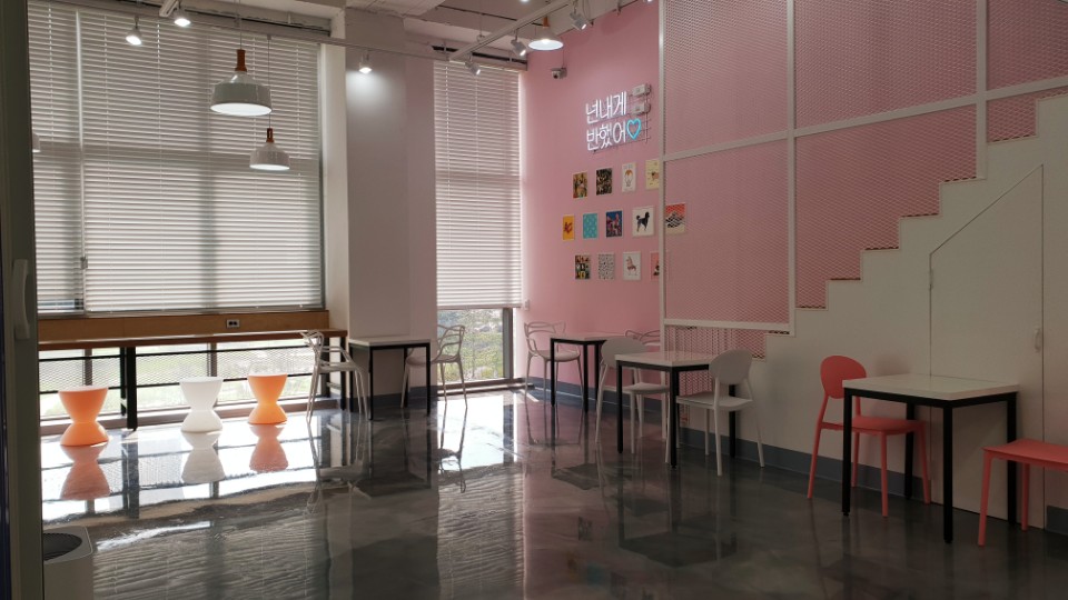 캔디독