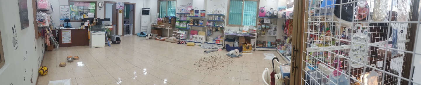 러브펫츠