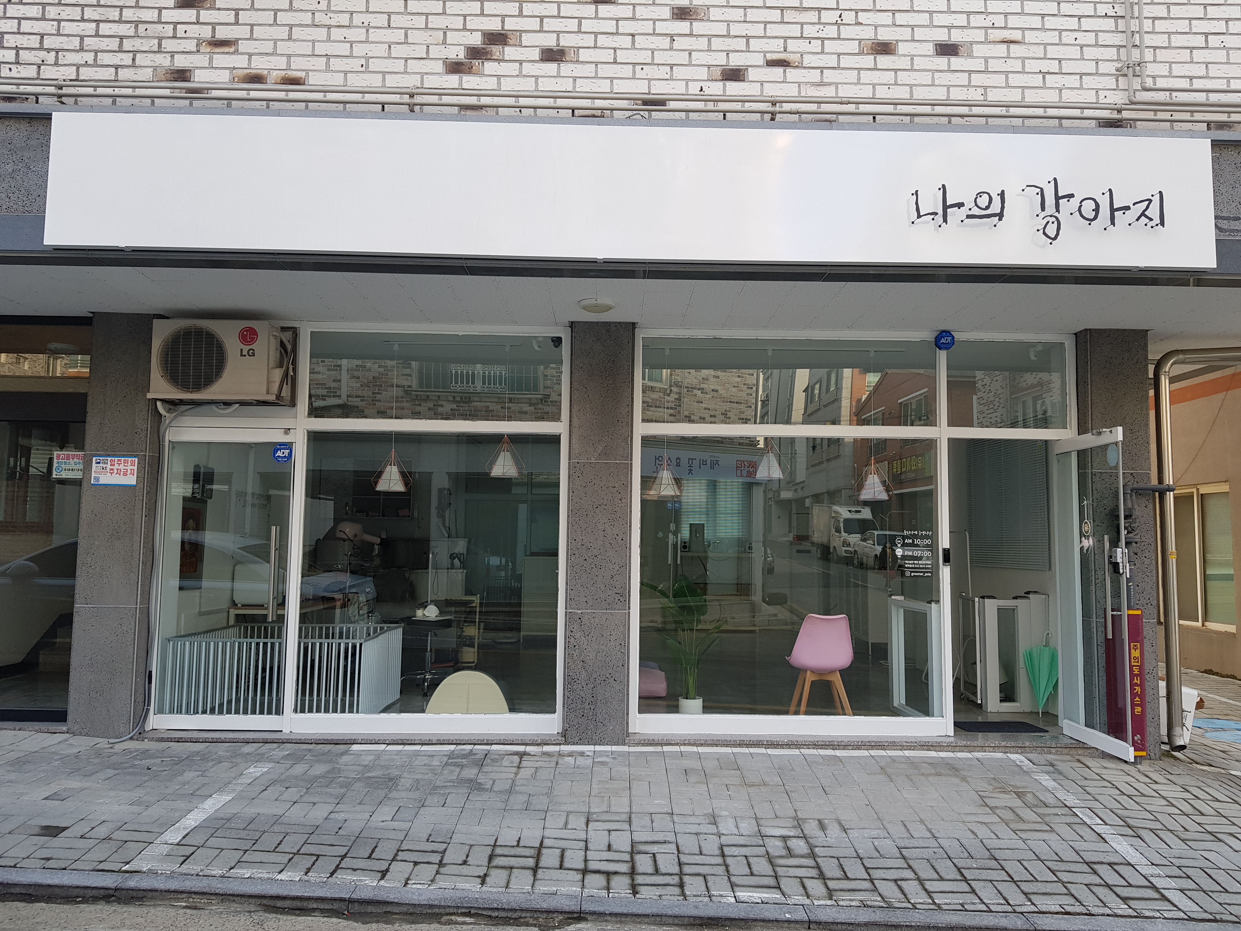 나의 강아지