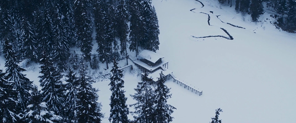 386154ebc36f4eef852a44f971557dc51568165959985