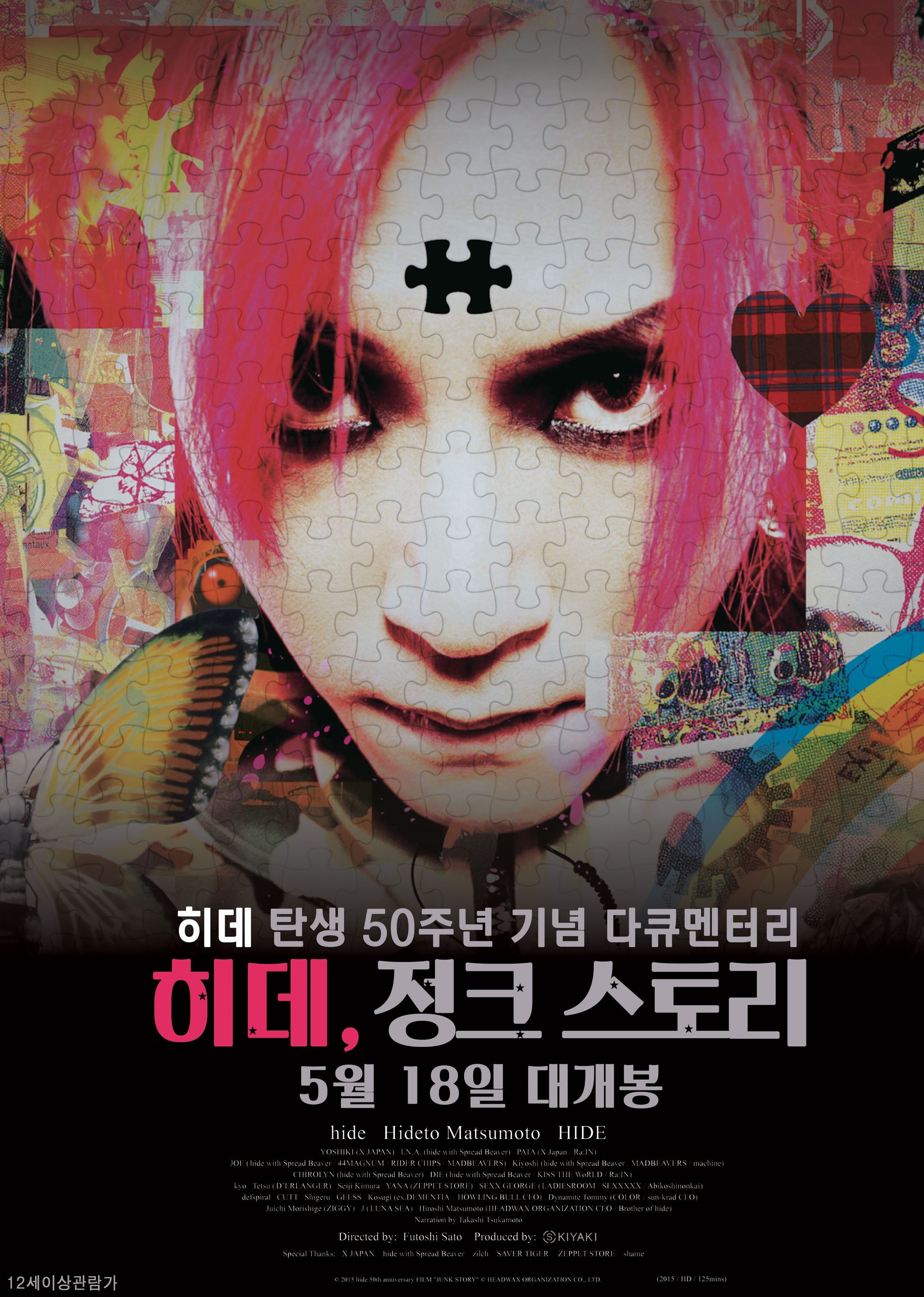 히데, 정크 스토리