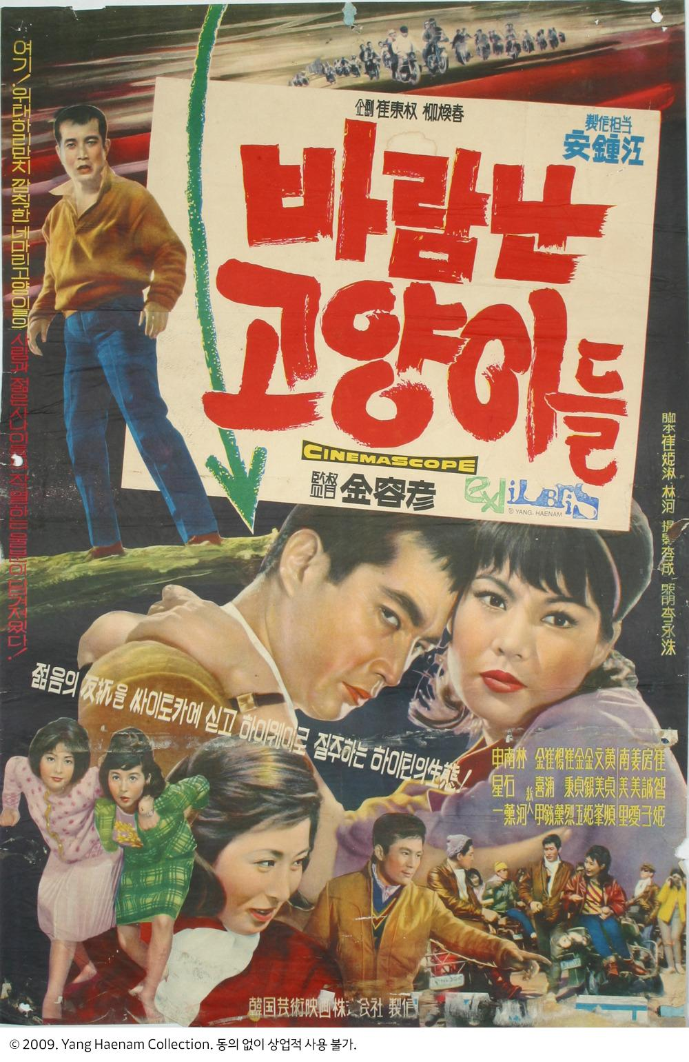 바람난고양이 이미지