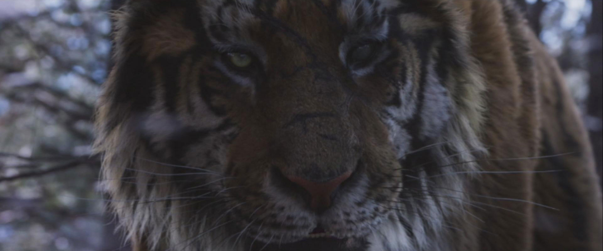 a8f23d83e3eb2cba68cf97f67897bcbee2424e0b