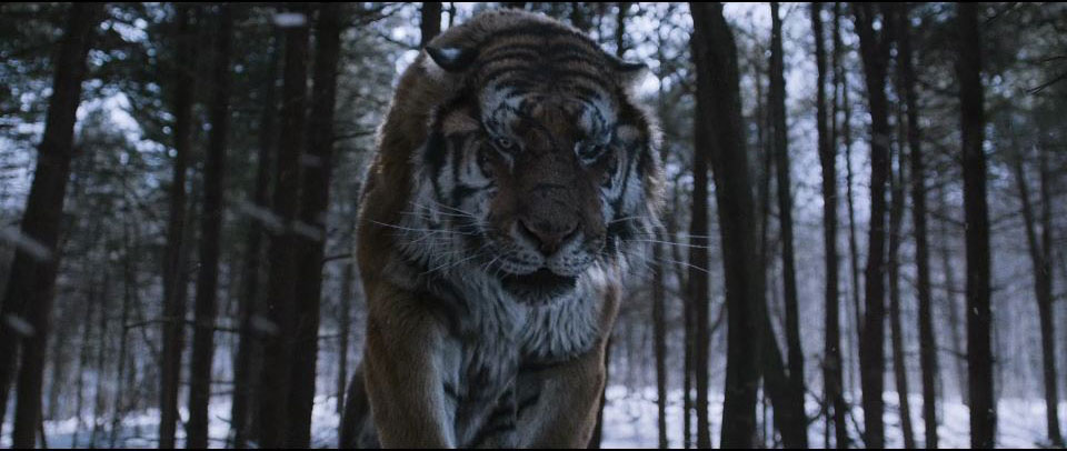 d3797d5267e020b0f471ff0c05c8fa9e8a9d33d7