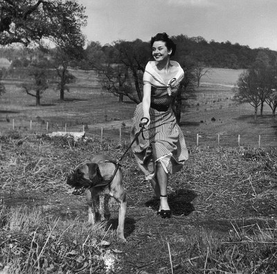 637fe738e6ba8e365ad674a4aff84b13257a4b7b