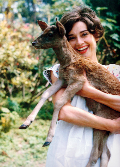 9f296dc00c5c30a64b3e757b41337052c88ab550