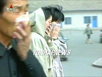 신보지질 이미지