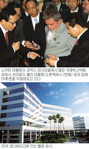 디엠비알 이미지