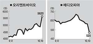 (주)오리엔트 이미지
