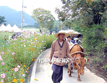 소 달구지 이미지
