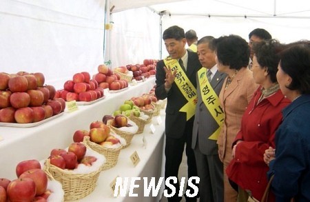 주산지애플 이미지