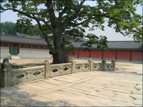 팔도물산 이미지