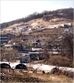 황금알 이미지
