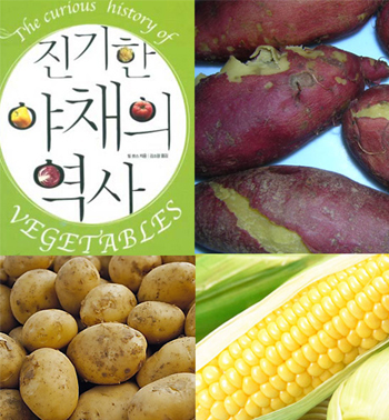 야채나라 이미지